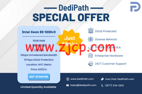 DediPath:限时优惠,特价独服,E3-1230v3/16G内存/120GB SSD或2TB HDD/1Gbps带宽不限流量,$30/月 2 20230523 646cdc3c55661