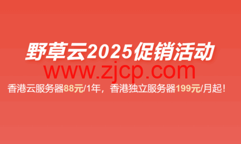 #2025年终促销#野草云:香港VPS主机88元/年起,香港独立服务器199元/月起-国外主机测评
