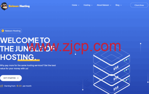BaboonHosting：荷兰VPS，€12.99/年起，荷兰IPv6 vps年付5欧元起-国外主机测评