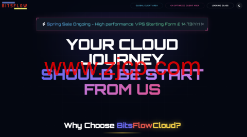 BitsFlowCloud一周年促销:全球EPYC/Intel VPS低至11.5美元/年,覆盖美英德港日多机房-国外主机测评